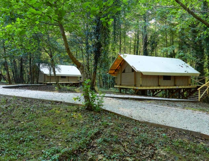 Глэмпинг Garuda Glamping Abkhazia / Гаруда Абхазия