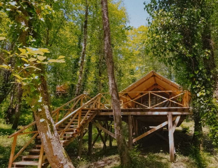 Глэмпинг Garuda Glamping Abkhazia / Гаруда Абхазия